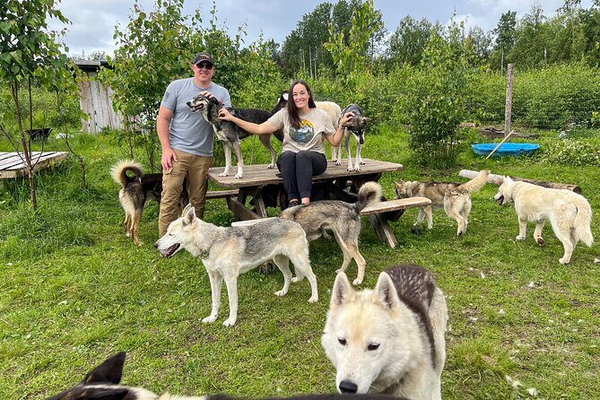 Sled Dog Kennel Tour - Who Will Love This Tour?