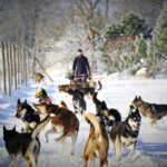 SLED DOG KENNEL VISIT TARTU COUNTRY ESTONIA - What You Can Expect During the Tour