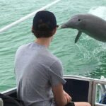 Small Group 2 Hour Dolphin Cruise with Snorkeling to Shell Key - Who Will Love This Tour?