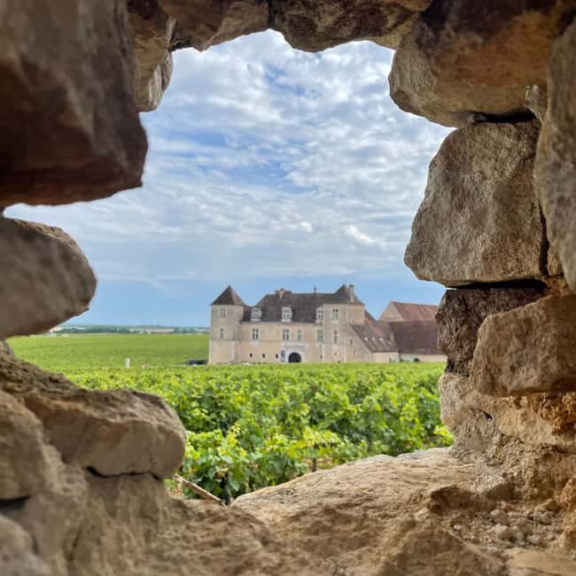 Small group Afternoon in Côte de Nuits - Why View the Tour as a Good Value