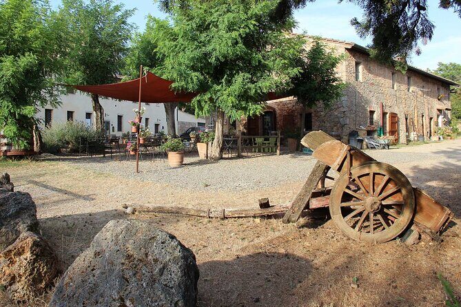 Small-Group Arezzo and Cortona Day Trip from Siena - The Practicalities: Transportation and Group Size