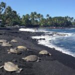 Small-Group Big Island Tour: Hawaii Volcanoes National Park and Kona Coffee Farm - The Itinerary: Breaking Down the Highlights