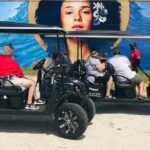 Small-Group Brewery Golf Cart Tour of Wynwood with a Local Guide - Who Is This Tour Best For?