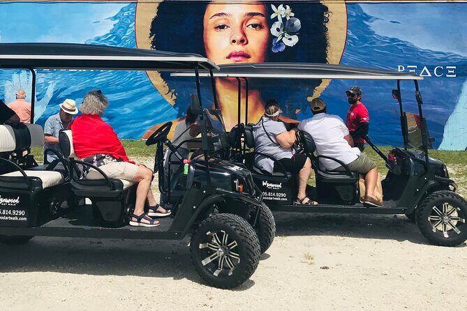 Small-Group Brewery Golf Cart Tour of Wynwood with a Local Guide - Who Is This Tour Best For?