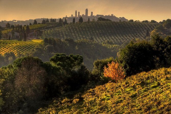 Small-Group Chianti and San Gimignano Sunset Trip from Siena - What Makes This Tour Stand Out