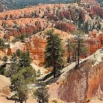 Small Group Day Tour To Explore Bryce Canyon & Zion National Park - Deep Dive Into the Experience