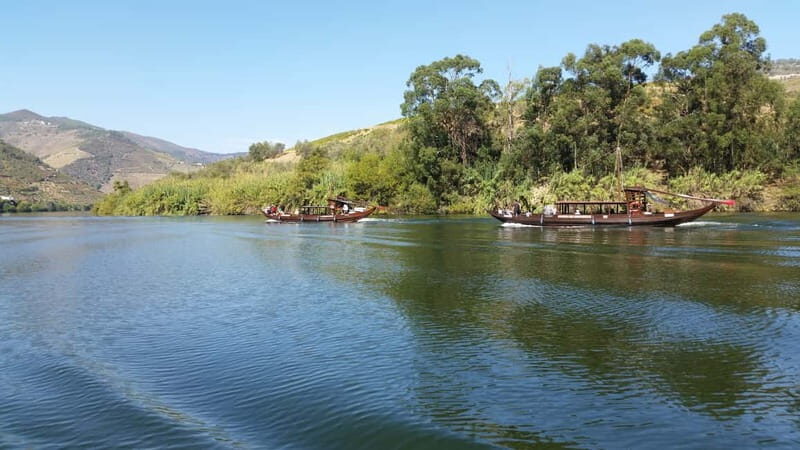 Small Group: Douro Valley Wine Tasting from Porto - How Well Does It Deliver?