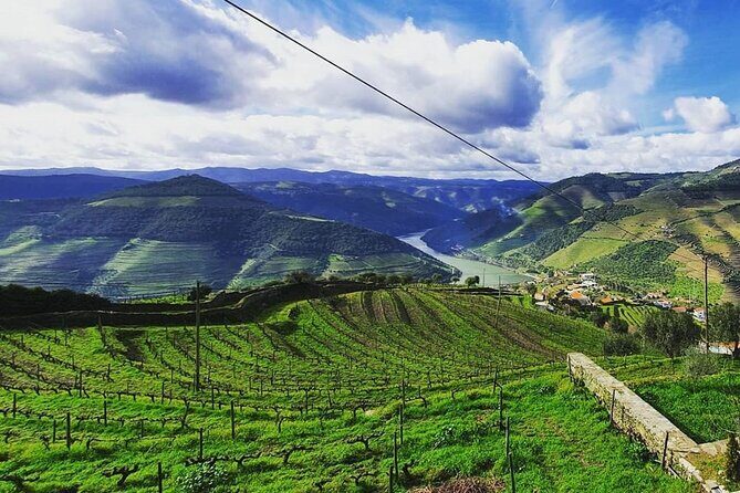 Small Group Douro Wine Valley Tour with Lunch and Wine Tasting - Is It Worth the Price?