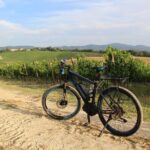 Small Group E-Bike Chianti Tour with farm lunch from Siena - Who Will Love This Tour?