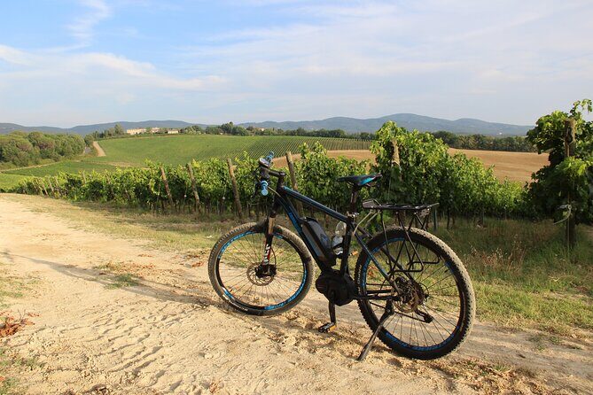 Small Group E-Bike Chianti Tour with farm lunch from Siena - Who Will Love This Tour?