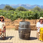 Small group- Exclusive Olive Oil & Wine Tour Mallorca - The Real Value of the Tour