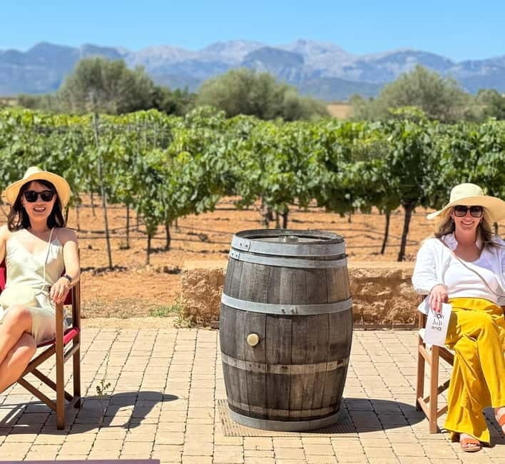 Small group- Exclusive Olive Oil & Wine Tour Mallorca - The Real Value of the Tour