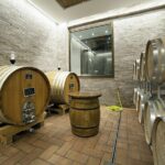 Small-Group Exclusive Winery and Wine Tasting Tour in Frascati - The Practicalities