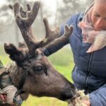 Small Group Fishing, Lunch& Reindeer Farm Visit in the Wilderness - The Sum Up