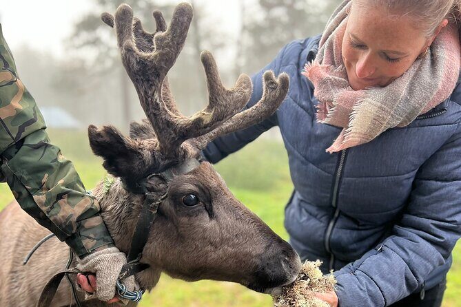 Small Group Fishing, Lunch& Reindeer Farm Visit in the Wilderness - The Sum Up