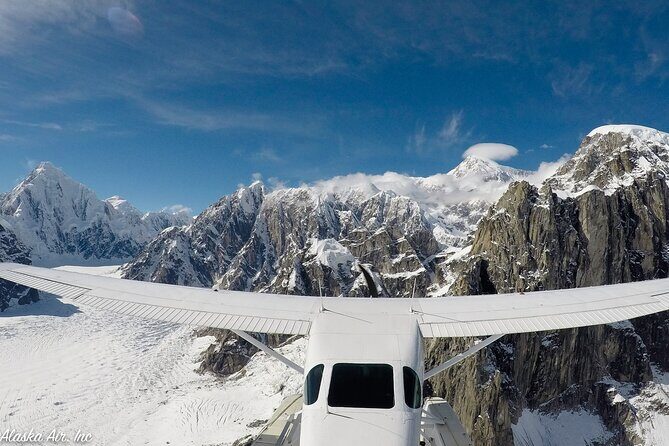 Small-Group Flight Denali National Park Tour with Guided Hike - The Guided Hike: An Intimate Look at Nature