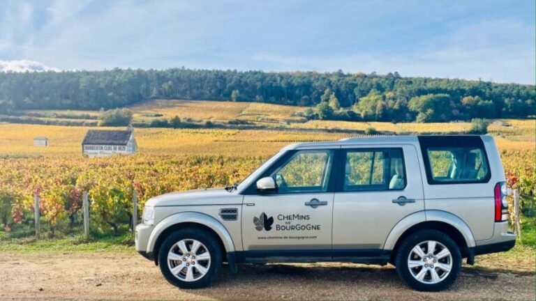 Small group full day tour in the Burgundy vineyards - Frequently Asked Questions