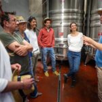 Small-Group Half-Day Languedoc Pic Saint-Loup Wine Tour from Montpellier - The Value of This Tour