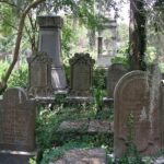 Small Group Haunted History Walking Tour of Charleston - Key Points