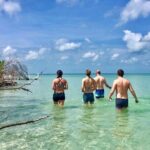 Small Group Kayak Tour of the Shell Key Preserve - What to Expect During the Itinerary