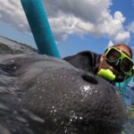 Small Group Manatee Snorkel Tour with In-Water Guide and Photographer - Is the Price Worth It?
