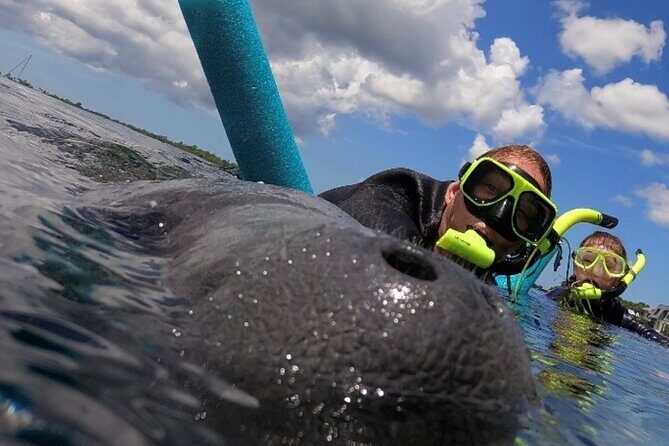 Small Group Manatee Snorkel Tour with In-Water Guide and Photographer - Is the Price Worth It?