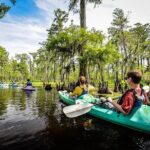 Small-Group Manchac Swamp Kayak Tour with Local Guide - The Itinerary in Detail