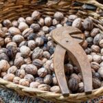 Small Group Market tour and Cooking class in Gubbio - The Market Visit: A Window into Local Life