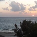 Small-Group Mesoamerican Barrier Reef Snorkeling in Puerto Morelos - The Value of This Snorkeling Tour