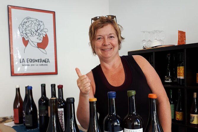 Small-Group Natural and Organic Wine Tasting near Sitges - The wines: a diverse selection
