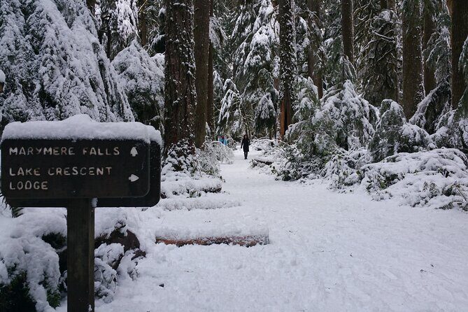 Small Group Olympic National Park Day Tour from Seattle 2CanGo - What’s Included and What’s Not