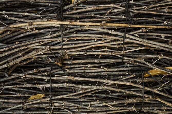 Small-Group Rioja Uncorked Tour from San Sebastian - The Experience We Expect for You