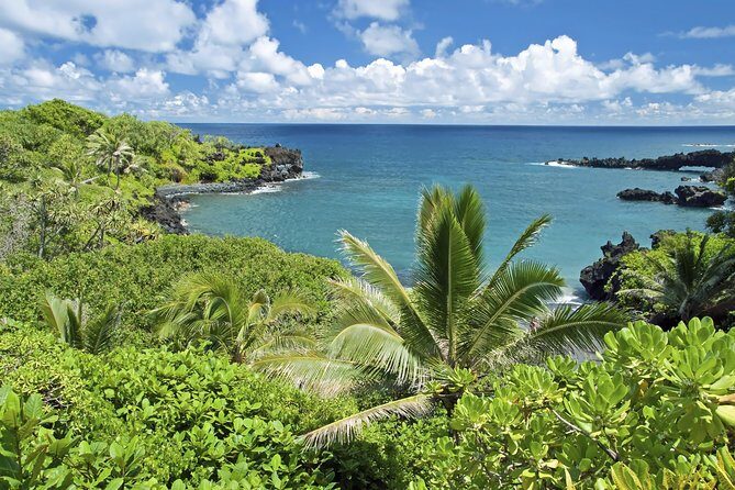 Small-Group Road to Hana Adventure Tour with Pickup & Lunch - Who Should Consider This Tour?