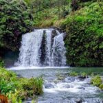 Small Group Road to Hna Tour 6 to 8 passengers - What to Expect from the Tour