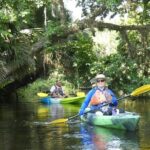 Small Group Scenic Wekiva River Kayak Tour near Orlando - The Practical Side: Snacks, Gear, and Meeting Details