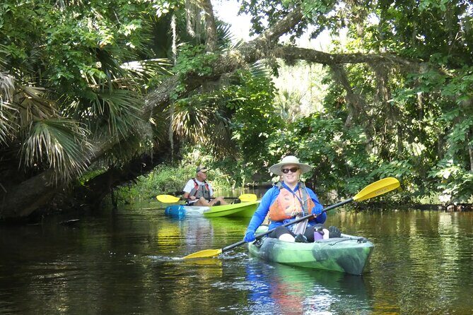 Small Group Scenic Wekiva River Kayak Tour near Orlando - The Practical Side: Snacks, Gear, and Meeting Details