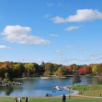 Small-Group Sightseeing Tour of Montreal - What’s Included & What’s Not