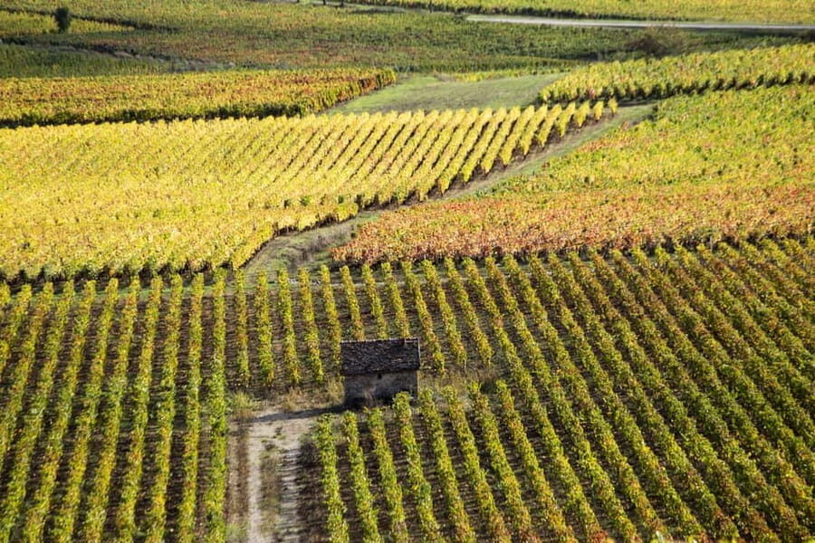 Small group tour Morning in Côte de Beaune - The Practicalities: How It Fits Into Your Trip