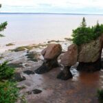 Small Group Tour - Peggy's Cove, Lunenburg, the Annapolis Valley - Transportation, Group Size, and Pricing – What It Means for You