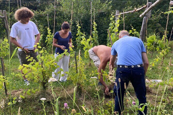 Small Group Tour with Prosecco Wine Tasting from Venice - Transportation & Group Dynamics
