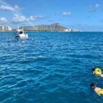 Small Group Turtle Canyon Snorkel in Waikiki - The Snorkeling Experience: What You’ll See