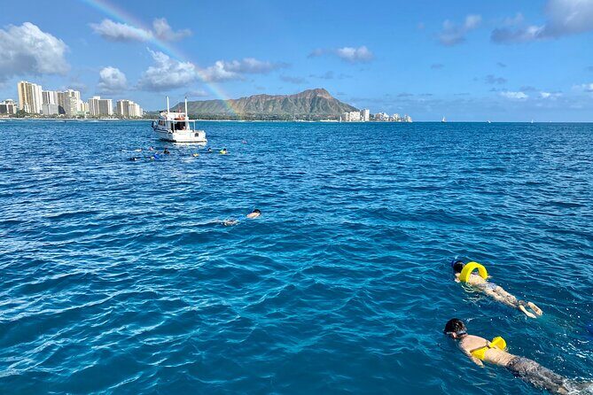 Small Group Turtle Canyon Snorkel in Waikiki - The Snorkeling Experience: What You’ll See