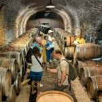 Small-group Vienna Wine Tour - The Final Word: Who Should Book This?