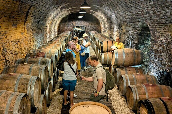 Small-group Vienna Wine Tour - The Final Word: Who Should Book This?