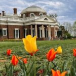 Small Group Washington DC to Thomas Jefferson Monticello Day Tour - What Makes This Tour Stand Out?
