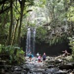 Small Group Waterfall and Rainforest Hiking Adventure on Maui - The Waterfalls and Swimming Spots