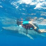Small Group Whale Shark Encounter - 10 years in business - Frequently Asked Questions