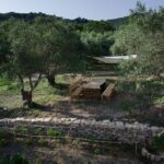 Small-Group Wine Tasting Activity in West Chania - The Wines and Food