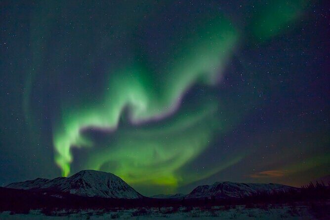 Small Group Yukon Aurora Viewing - A Cozy Night Under the Stars