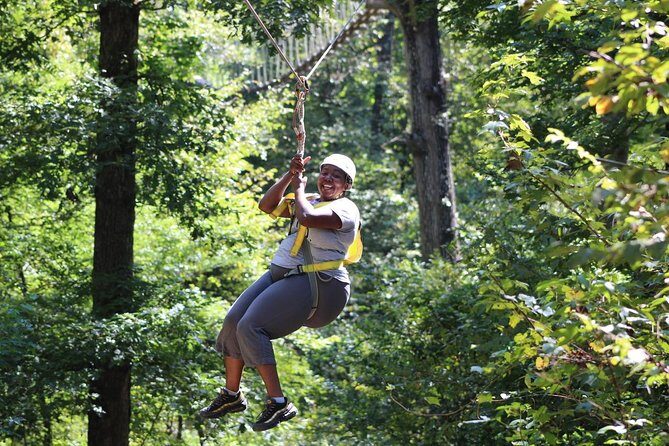 Small-Group Zipline Tour in Hot Springs - Analyzing the Experience from the Reviews